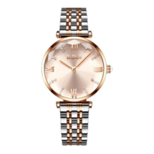 Biden Stainless Steel Womens Waterproof Analog Watch - Silver, Gold 177g each